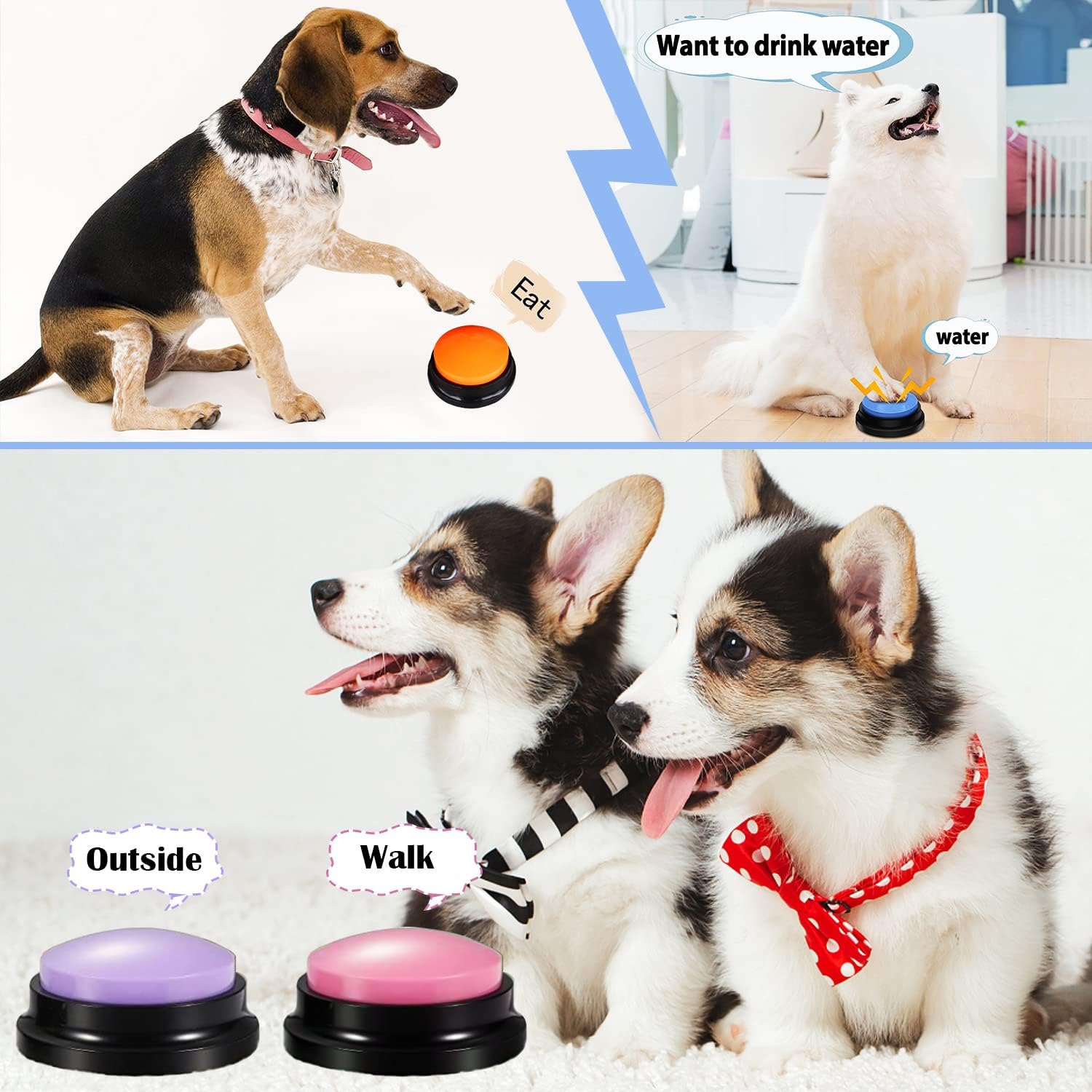 Interactive Pet Voice Button